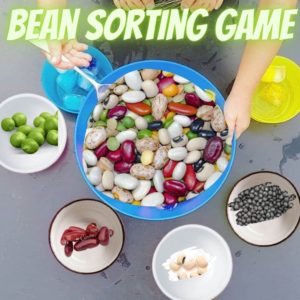 kids busy-BEAN SORTING GAME