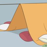 kids busy-ROOF TOP TENT PICNIC